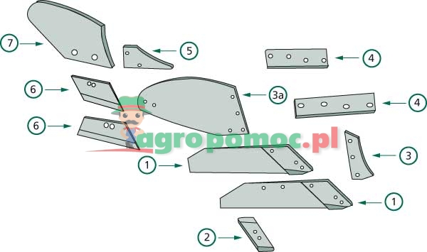 Pierś odkładnicy | 959403.0 | zdjęcie nr 2